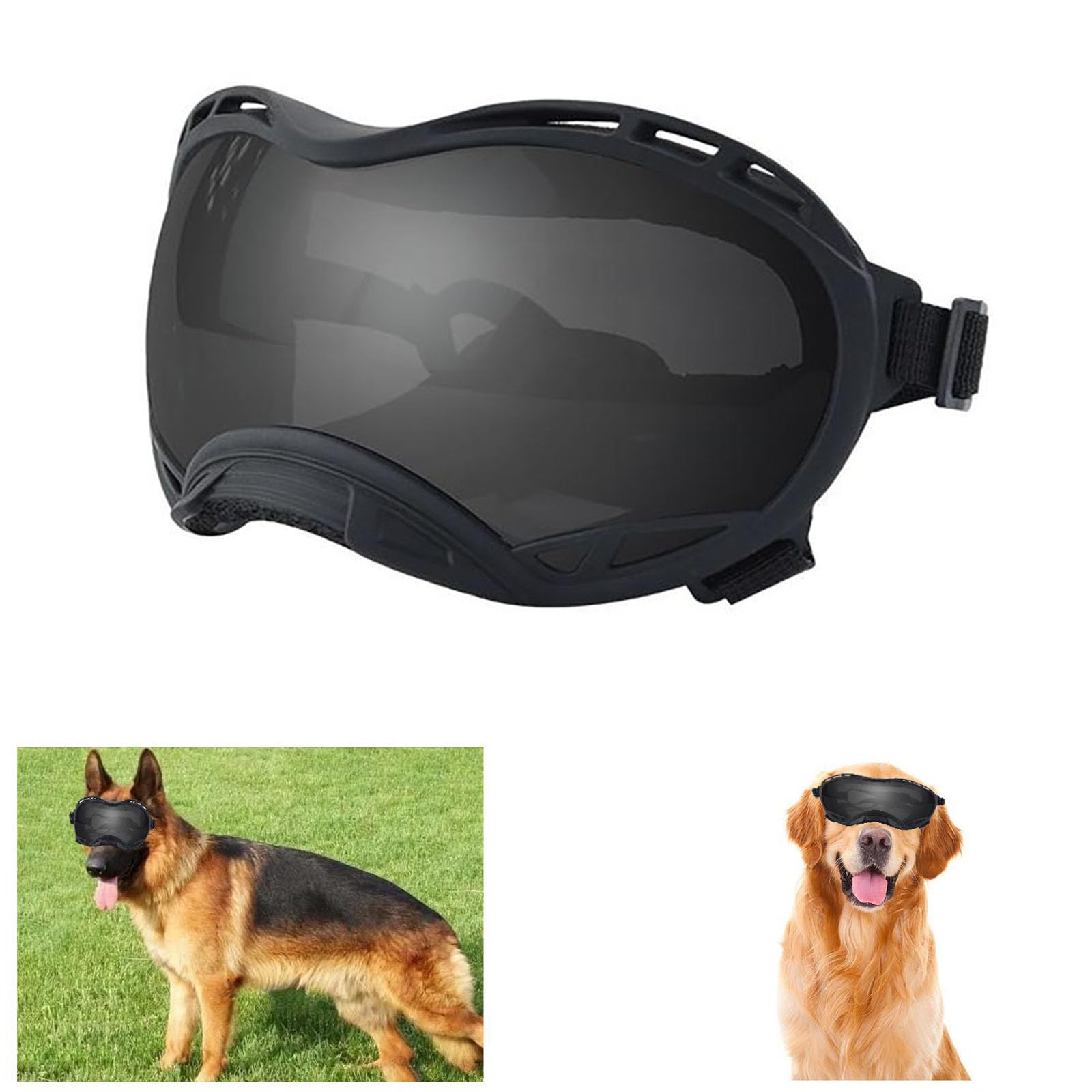 Lunettes de soleil pour chiens contre le vent et la poussière lors des balades
