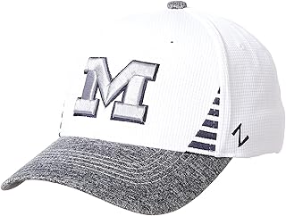 michigan hats amazon