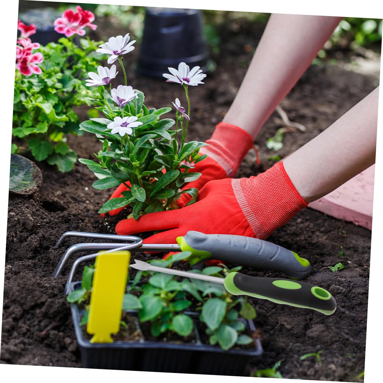 POPETPOP 4piezas Herramienta De Jardinería Manual Para Remover Malezas Extractor De Plantas De Inoxidable Pala De Jardín Para Aflojar Suelo y Desyerbar Huertos y Jardines