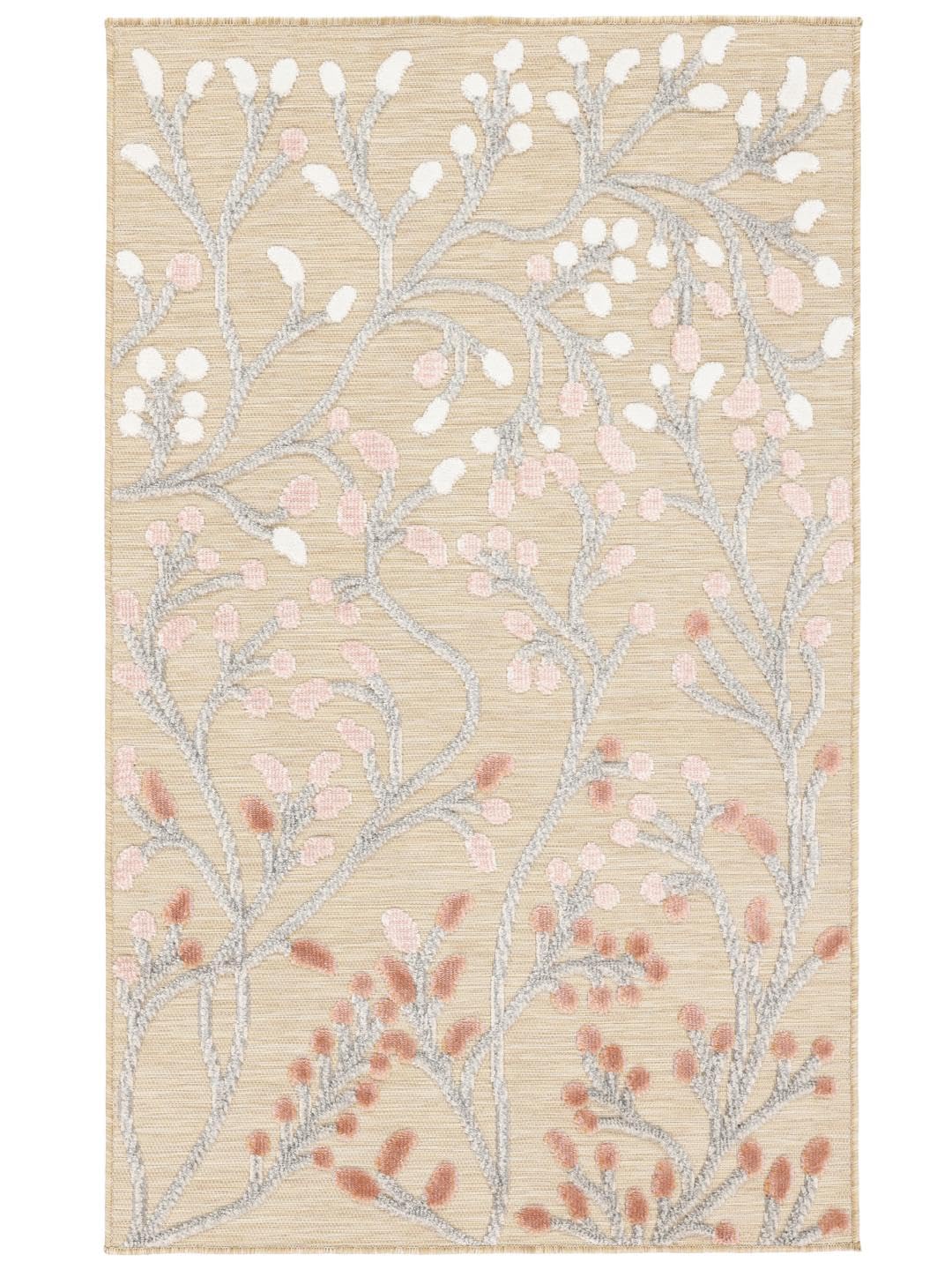 RugVista Garden, Tapis intérieur et extérieur, Modernes, 100 x 160 cm, Rectangulaire, Poil Moyen, Cuisine, Porch, Lavage à la Main Seulement, Résistant aux UV, Beige/Rose