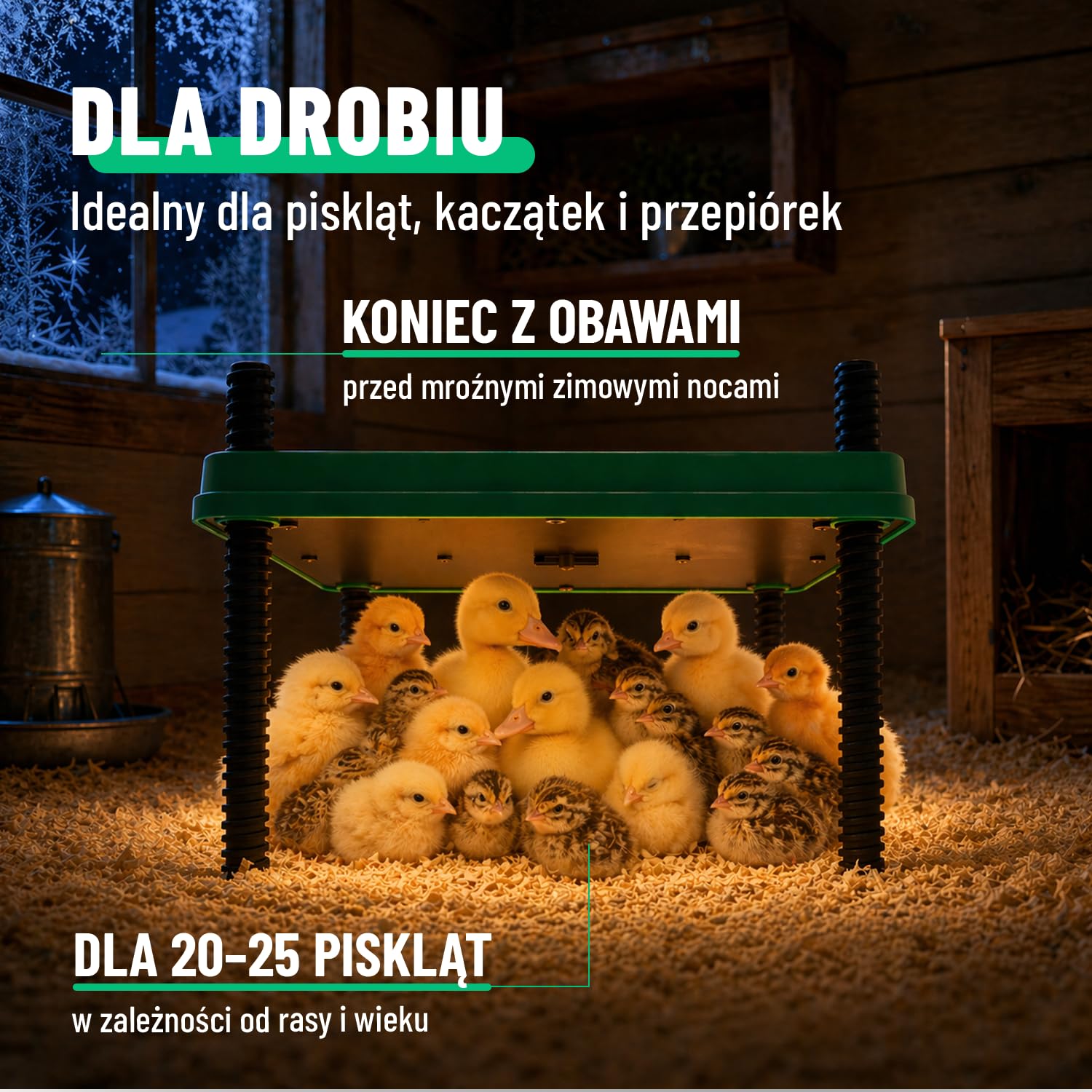 greate Płyta grzewcza 80 W dla piskląt 30 x 30 cm – płyta grzewcza do hodowli piskląt z regulacją wysokości i regulacja w zakresie 10-70 °C z wyświetlaczem LED – płyta grzewcza dla kurcząt – płyta