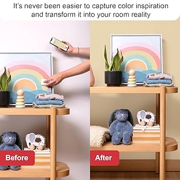 【国内正規品】Datacolor ColorReader EZ カラーマッチング Amazon | 【国内正規品】Datacolor ColorReader EZ カラー