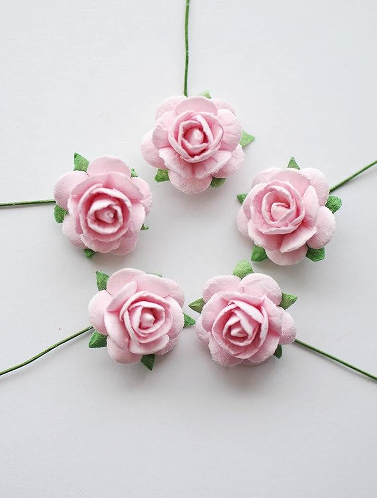 Offen 【Reborn project】ROSE-pointed