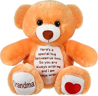 Liliful Sympathy Bears for Boys and Girls Loss of Grandma Memorial Bear, Grief Stuffed Animals, Grandma Remembrance Gift Bereavement Gifts, Grieving Plush Toy for Condolences Memorial Loss of Loved