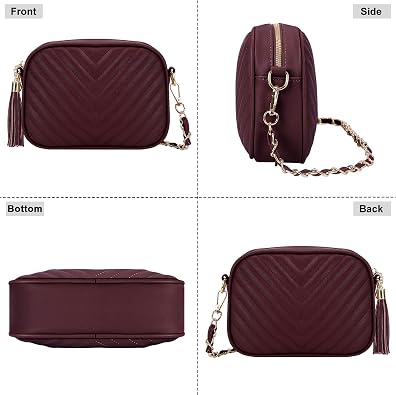 Small Crossbody Purses for Women Quilted Crossbody Shoulder Handbags Trendy Clutch Purse Camera Bag