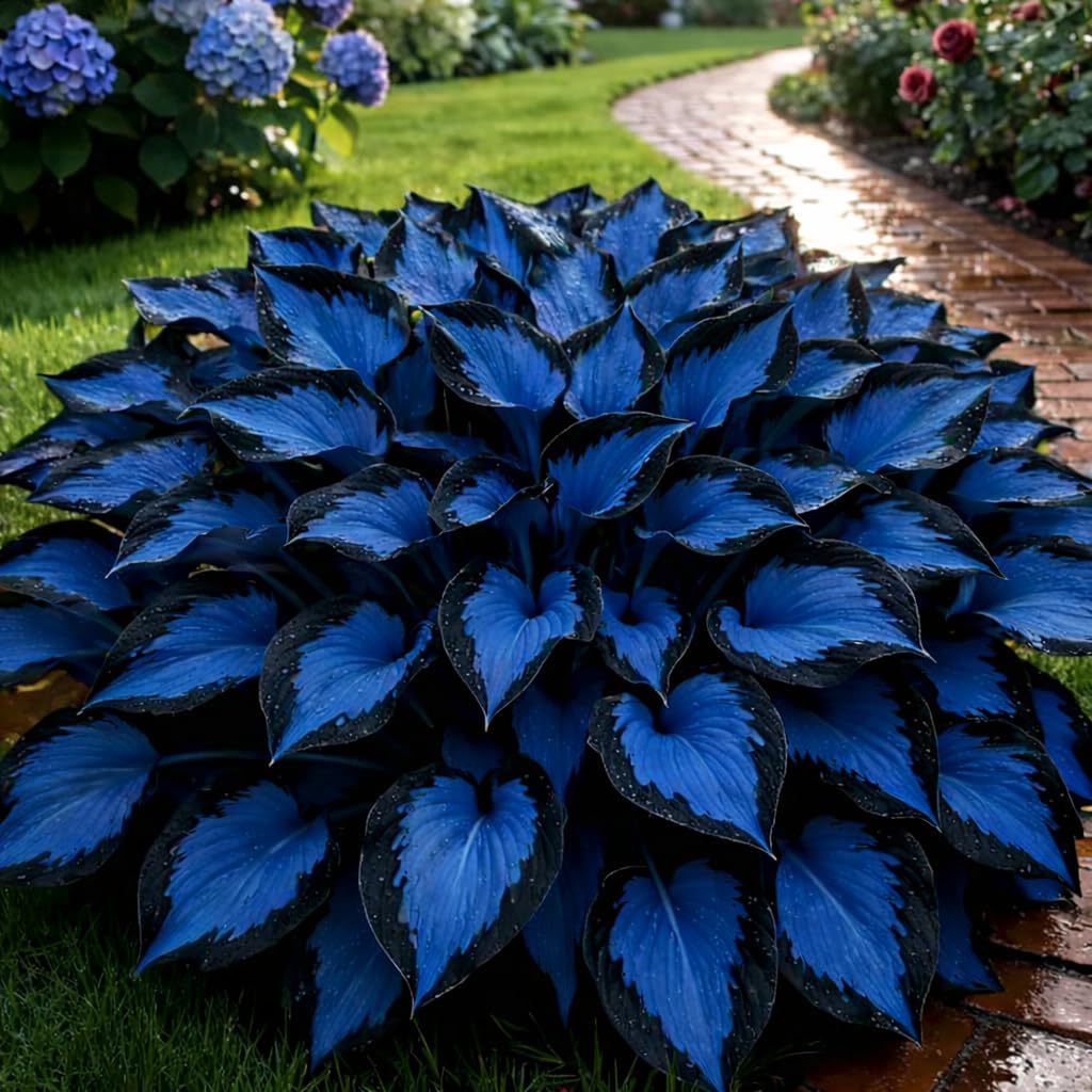 210+ Rare Hosta Seeds for Shade Gardens | Perennial Ground Cover, Long-Blooming Flowers for Borders & Containers