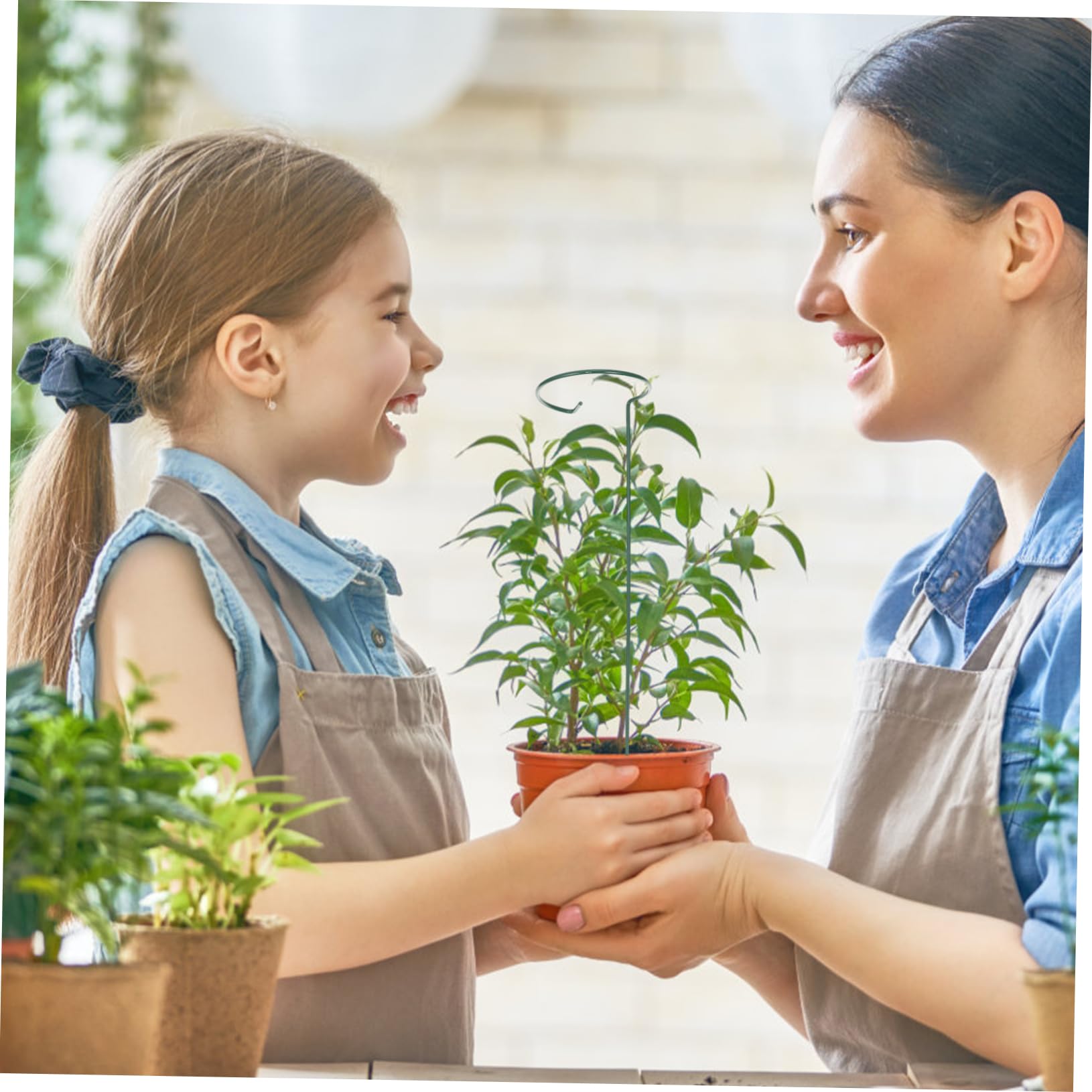 TOYANDONA 2 Ensembles Tuteurs De Plantes Supports pour Fleurs Et Plantes Grimpantes Cadres De Fixation pour Pots pour Jardin Équilibré Et Élégant 10 Pièces * 2