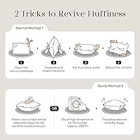 Vista 8 de Phantoscope - Insertos de almohada, 100% poliéster hipoalergénico de fibra virgen, almohadas cuadradas para sofá, sillón, cama, 12x20 pulgadas