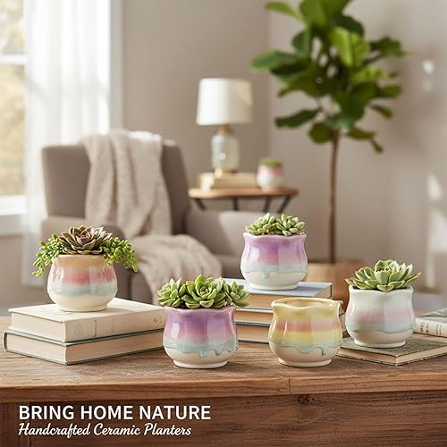Miniatura 6 de Paquete de 6 macetas de cerámica para suculentas, 3.54 pulgadas de ancho x 3.35 pulgadas de alto, macetas de esmalte degradado para suculentas,