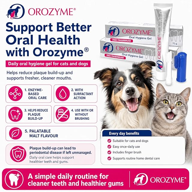 Foto 2 de 6 de Animalcare Orozyme Gel de higiene dental para perros y gatos cepillo de dientes y punta aplicadora incluida