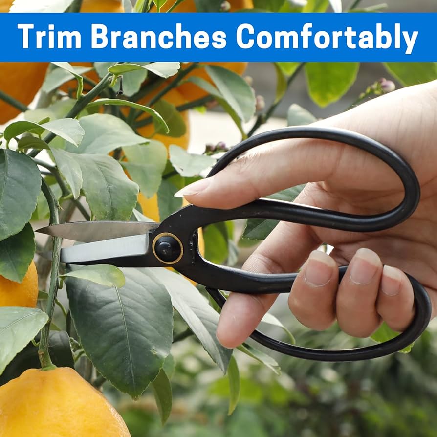 盆栽鋏・枝切り NEIGHBORHOOD 23SS SRL.GARDEN CLIPPERS 盆栽鋏・枝切り NEIGHBORHOOD 23SS SRL.GARDEN CLIPPERS