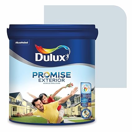 Dulux Promise Exterior Emulsion Paint (4L, Big Chill) | Ideal for Exterior Walls | Smooth Finish | Anti-Peel & Anti-Crack | Long-Lasting Colors