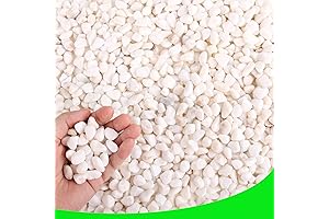 CJGQ White Glass Pebbles for Plants, Garden Vases, and Decor