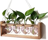 Vista 1 de Kit de terrario de plantas de corazón, regalo para mujeres, amantes de las plantas, jarrones de cristal