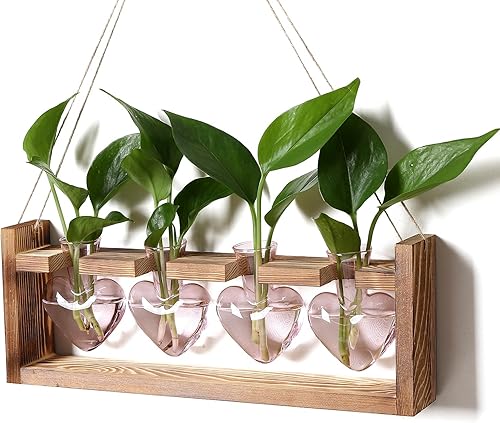 Kit de terrario de plantas de corazón, regalo para mujeres, amantes de las plantas, jarrones de cristal