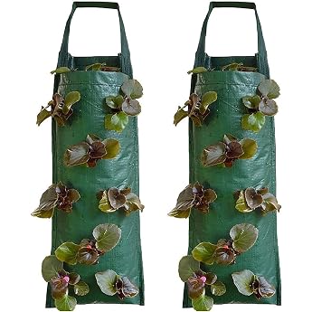Lohill Pack of 2 Hanging Vertical Plant Bags