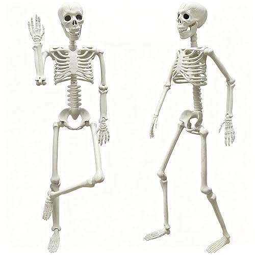 LUKBERA 2 Pack 3 ft Halloween Skeleton Posable, 36” Full