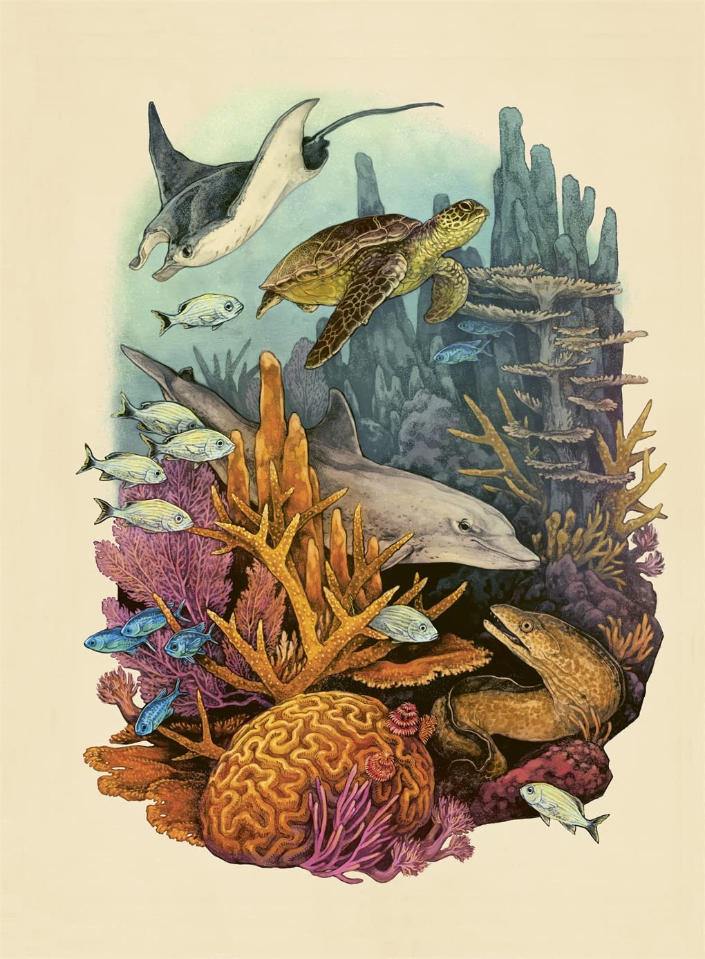 Oceanarium Poster Book: by Loveday Trinick and illustrator Teagan White