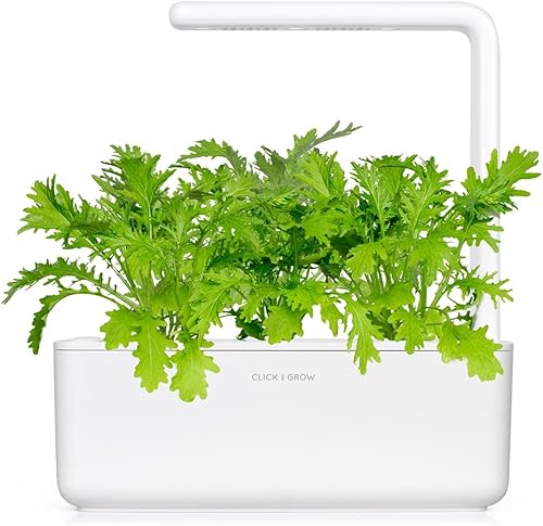 Miniatura 3 de Repuesto Smart Garden, 3 paquetes