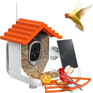 Smart Bird Feeder with Camera Solar Powered & AI Bi rd Identification, 2.4Ghz WiFi Bird feeders for Outdoors, 2K Live Video, Nstant Arrival Alerts - Orange