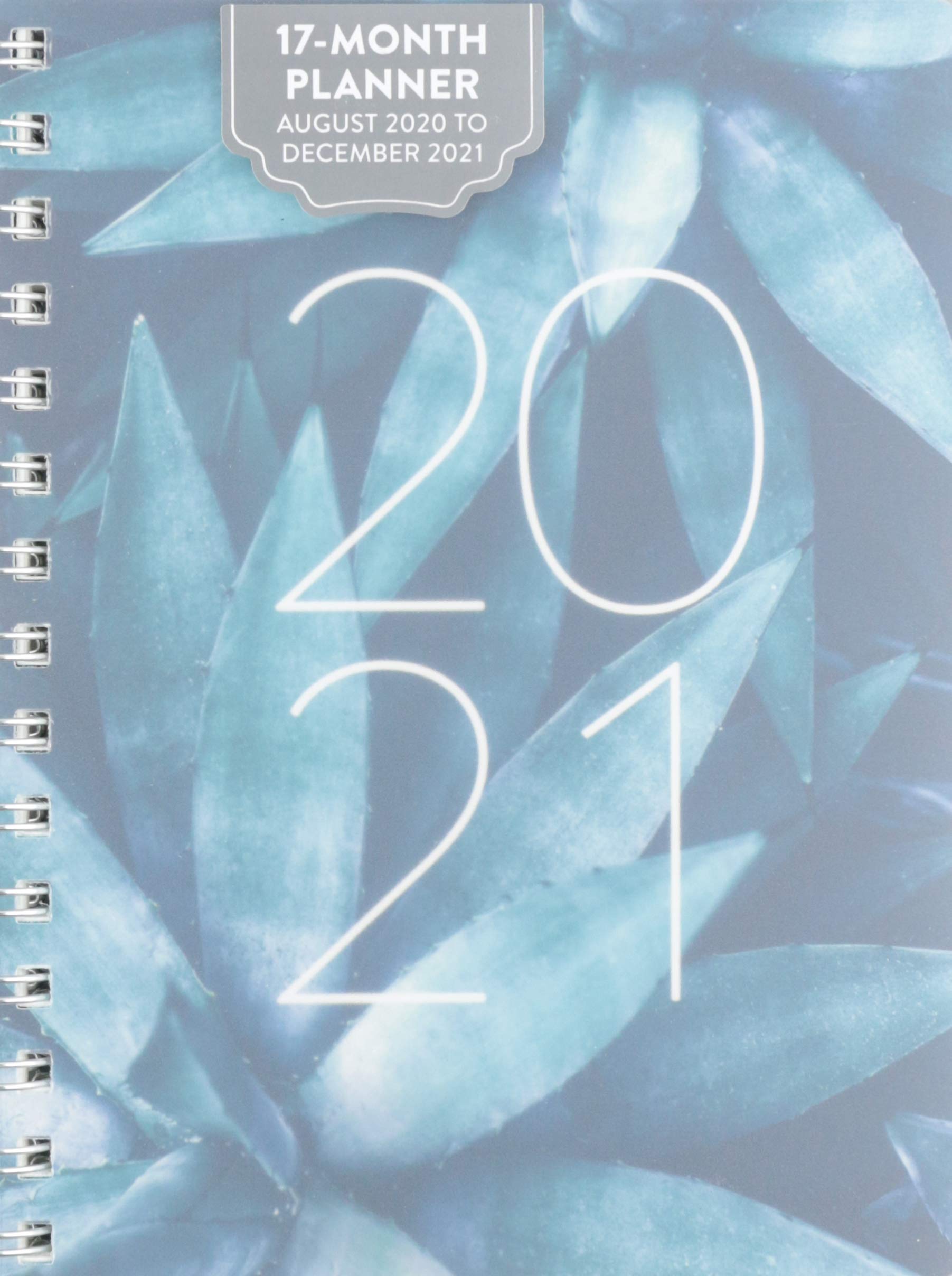 Orange Circle 2021 Compact Flexi Planner, August 2020 - December 2021, Agave