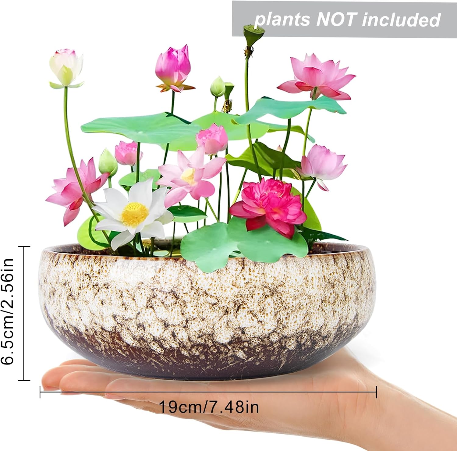 ARTKETTY Lotus Bowl Planter - 8 Inch Large Lotus Flower Bowl for Water Plants, Ceramic Bonsai Bowl for Hydroponic Plant Succulent Plants Indoors Outdoor