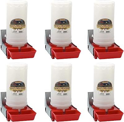 Little Giant BPW4 1-Gallon Impact Resistant Translucent Polyethylene Piglet Waterer (6 Pack)