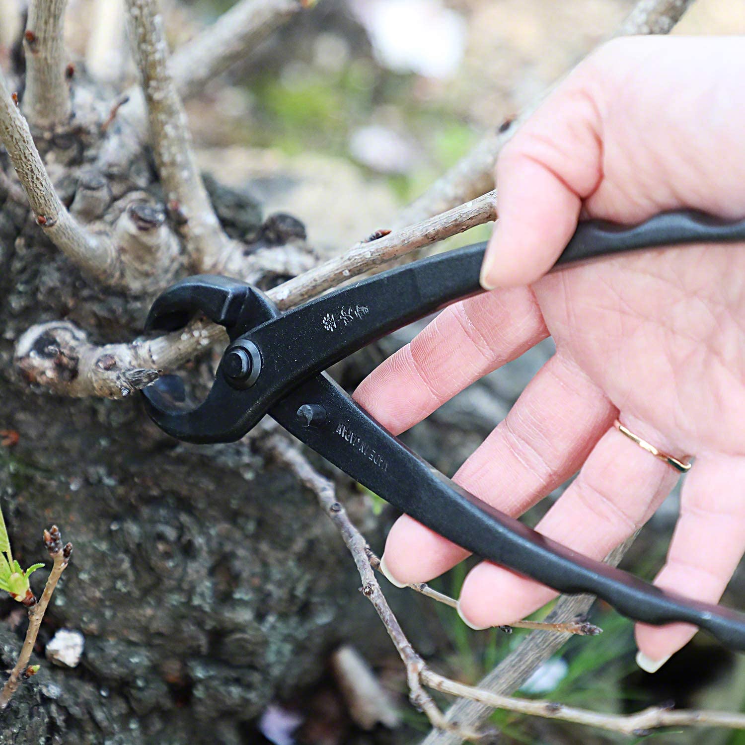 Wazakura Handgeschmiedete Bonsai-Zange 210 mm, Made in Japan - Stammspalter Schwarz