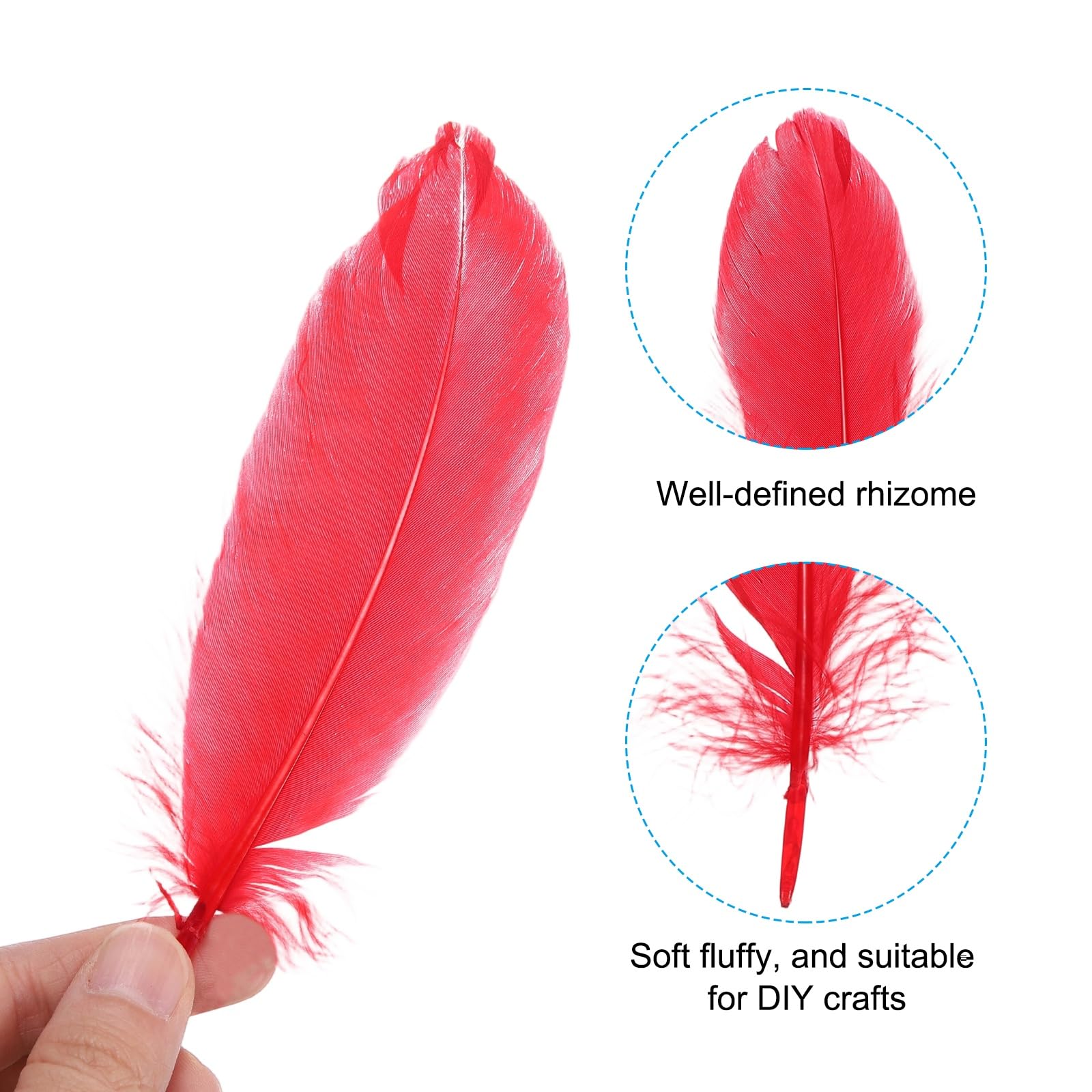 PATIKIL 6-8 Inch(15-20 Cm) Feathers - Image 3