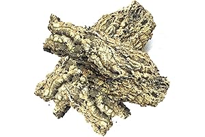 The Bio Dude Virgin Cork Flats - Amphibians, Reptiles and Terrariums