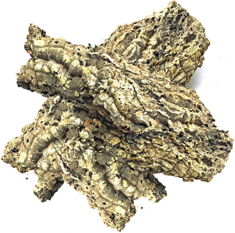 The Bio Dude Virgin Cork Bark Flats - 1 Pound (2-3 PCS) - Amphibians, Reptiles, Orchids, Bromeliads and Terrariums