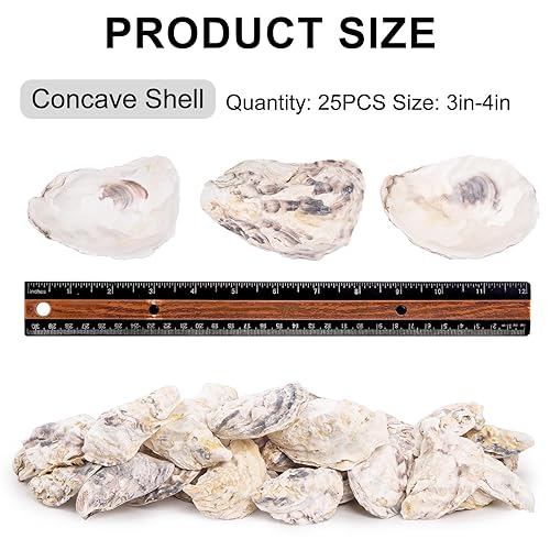 Miniatura 2 de QEQEKAKA 25 conchas de ostras cóncavas de 3 a 4 pulgadas para manualidades, conchas de ostras naturales a granel, para relleno de jarrones en el
