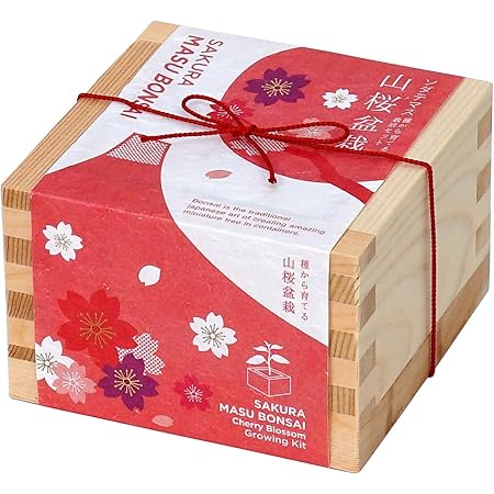 Amazon 聖新陶芸 盆栽栽培セット ソダテマス 桜 盆栽