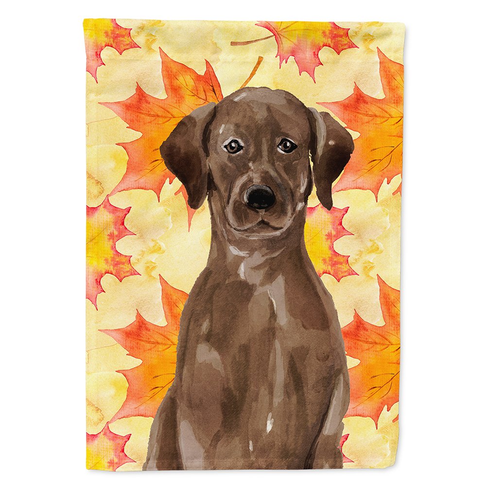 Drapeau Labrador chocolat automnal grand format pour décoration de jardin accueillante