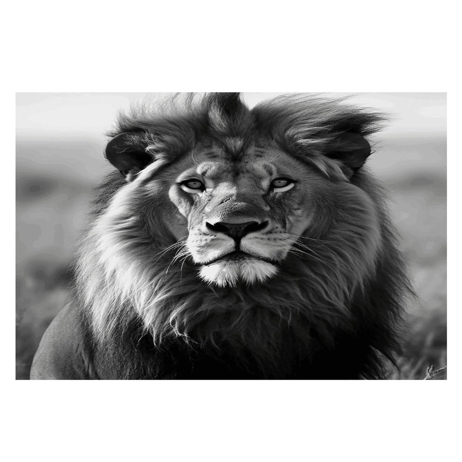 African Lion Black and White Placemats Wipeable Heat Resistant Table Mats Washable Flax Place Mats Elegant Cloth Non-Slip Placemat for Kitchen Dinning Party Table Decor 12 * 18 in