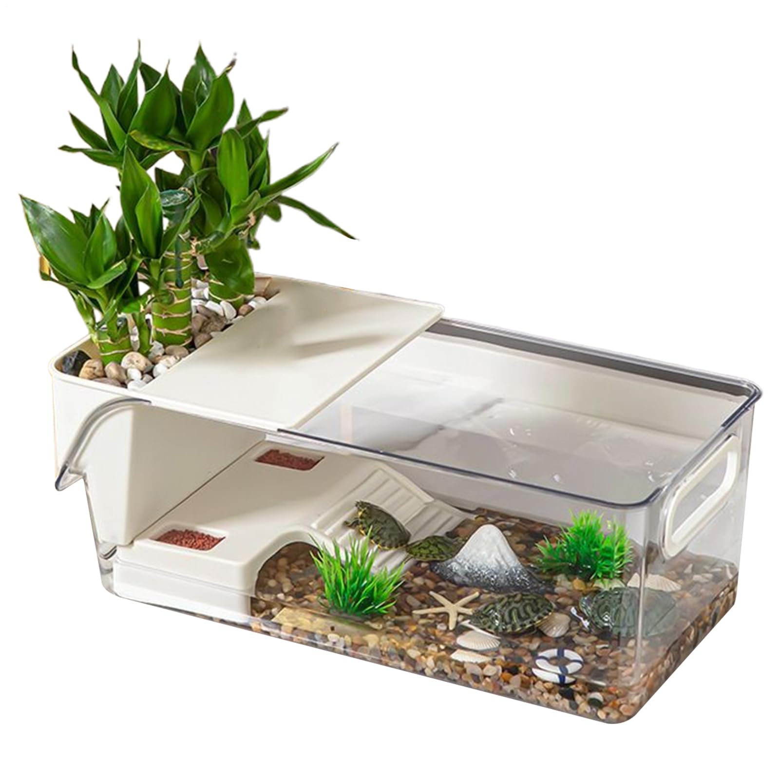 Aquarium pour tortues avec plateforme basking habitat transparent pour reptiles