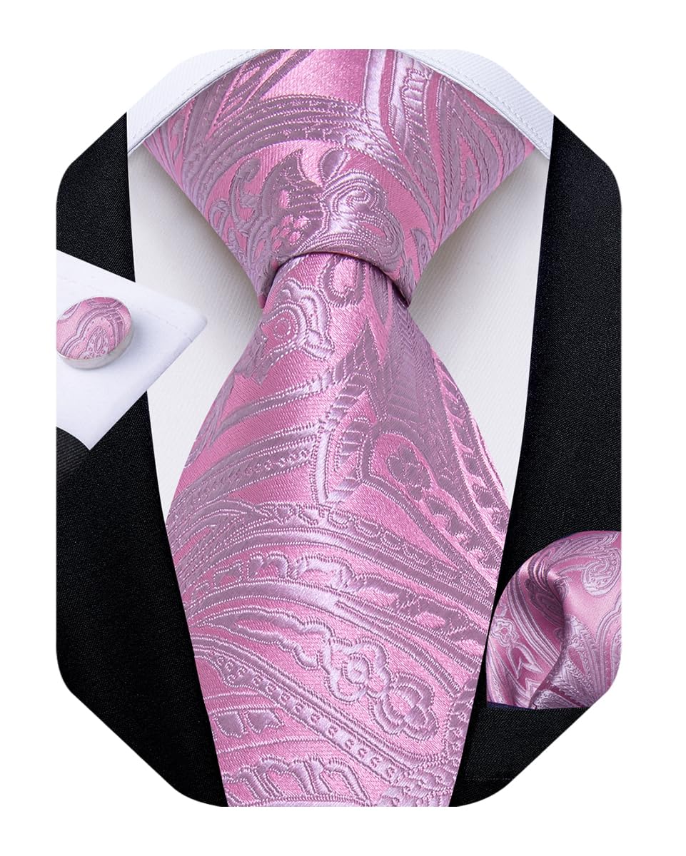 DiBanGu Silk Floral Ties for Men Woven Paisley Necktie