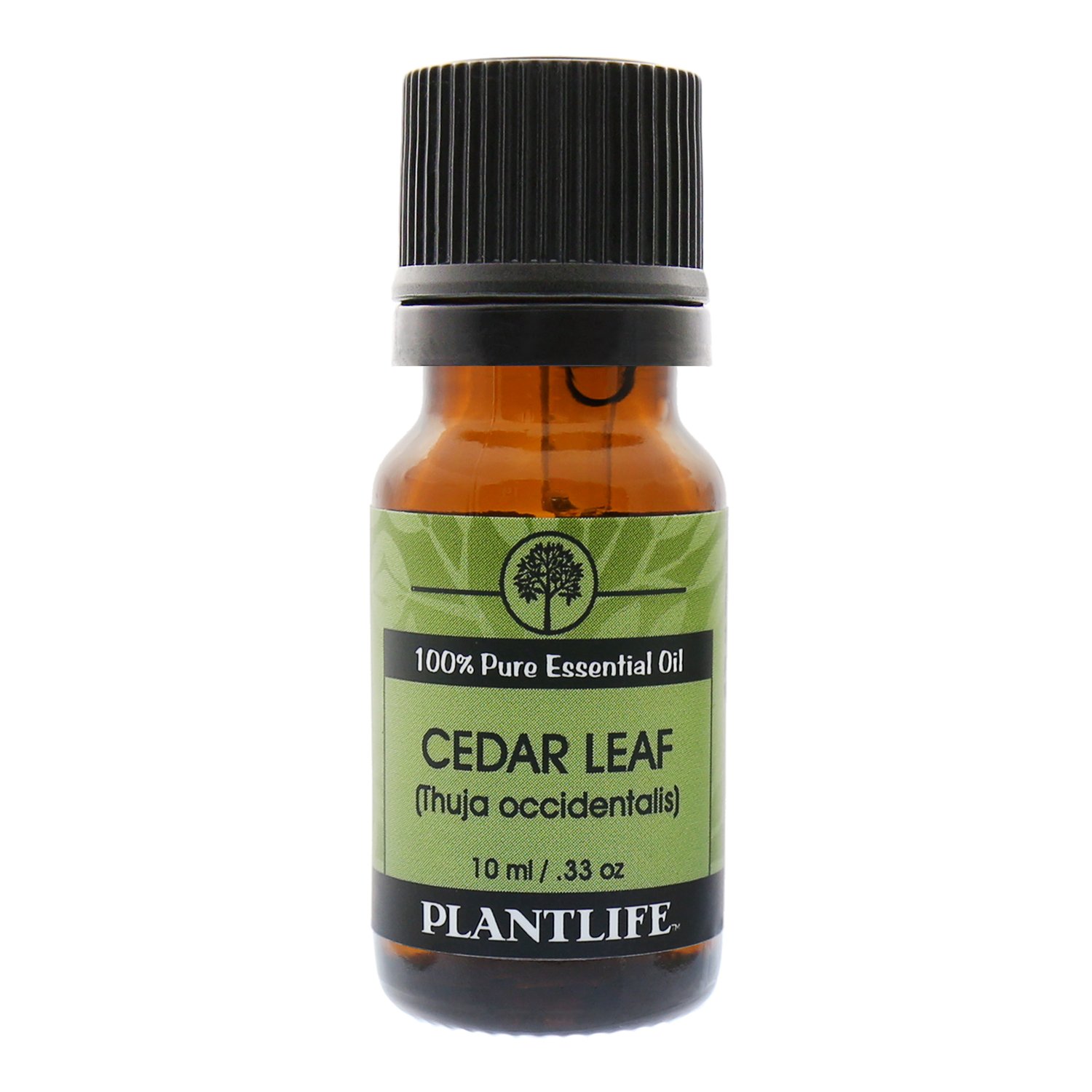 Plantlife Cedar Leaf Aromatherapy Essential Oil - Straight from The Plant 100% Pure Therapeutic Grade - No Additives or Fillers - 10 ml