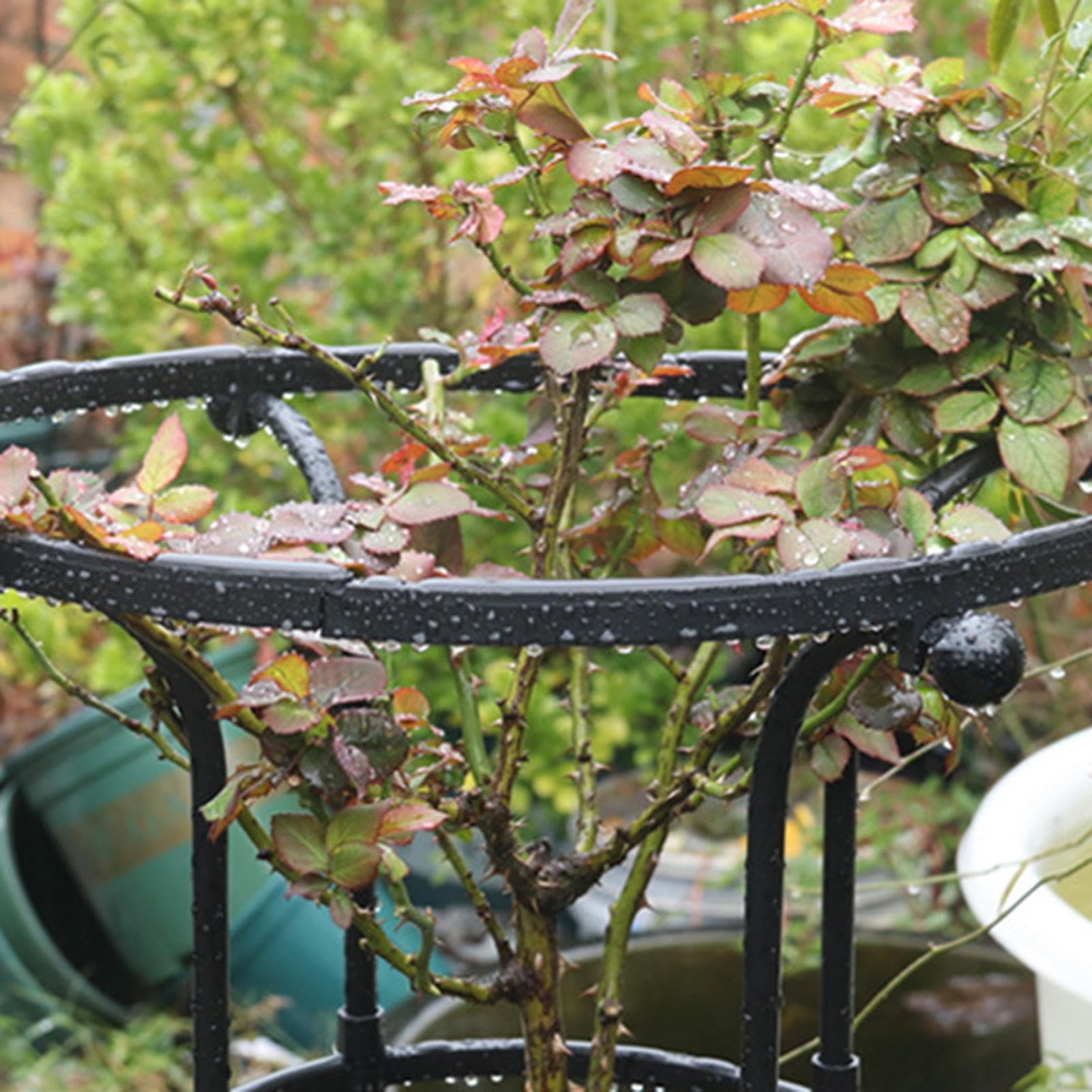 Obélisque de Jardin en Tubes en Acier pour Plants Grimpantes