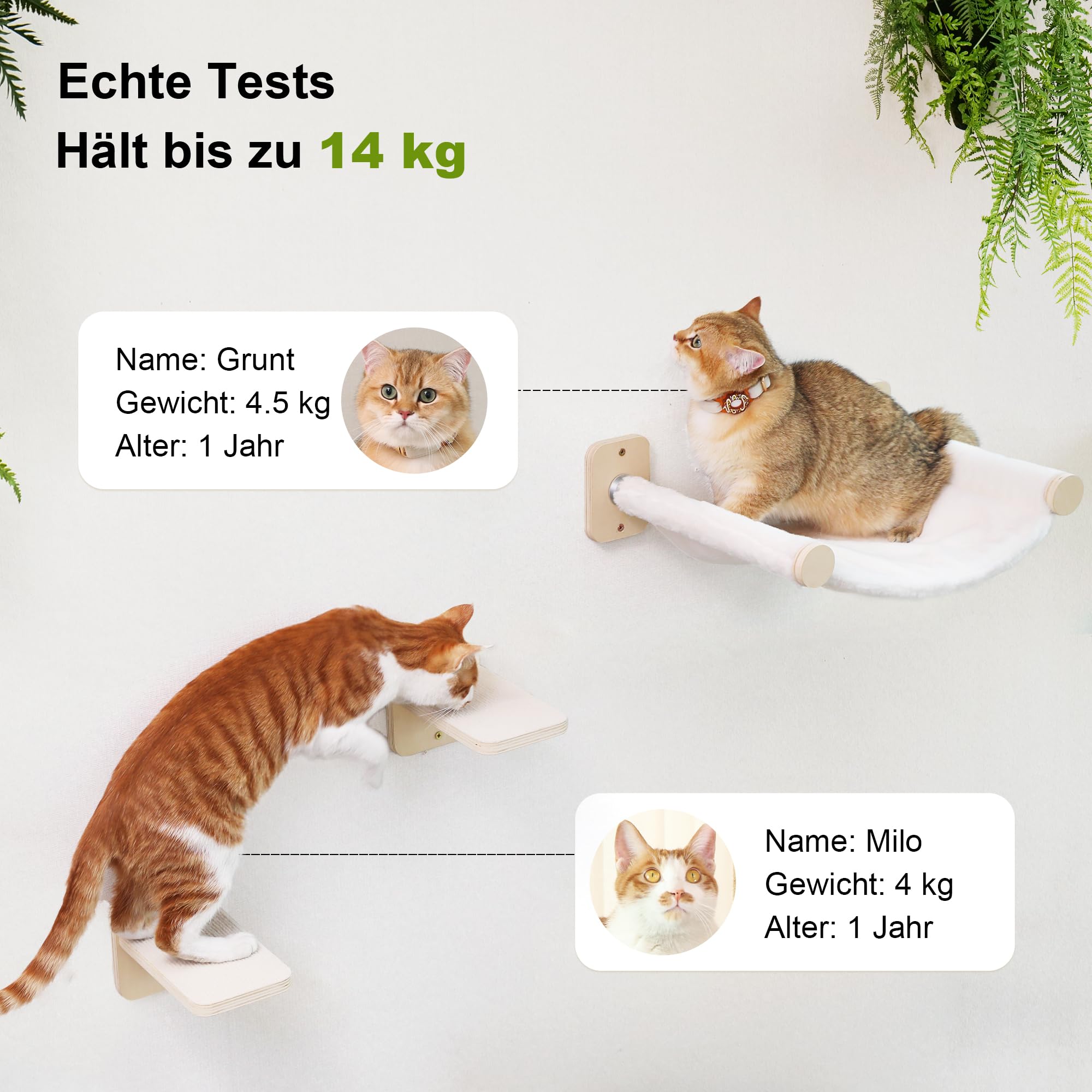 FUKUMARU Kletterwand Katzen, Katzenmöbel mit 2 Katzentreppe Wand,Katzenbaum Hängematte aus Birke mehrschichtige Platte, Katzenwandmöbel für Schlaf, Klettern und Spielen, beige