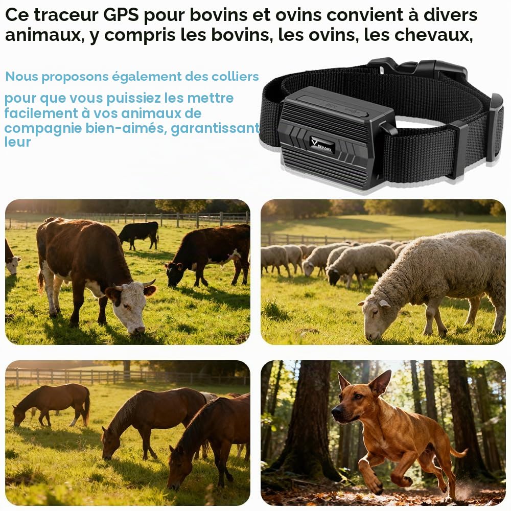 Winnes Traceur GPS Tracker pour Vache/Cheval/Mouton/Chameau IP66 étanche Suivi en Temps réel Traceur GPS pour Grand Animaux (TK935)