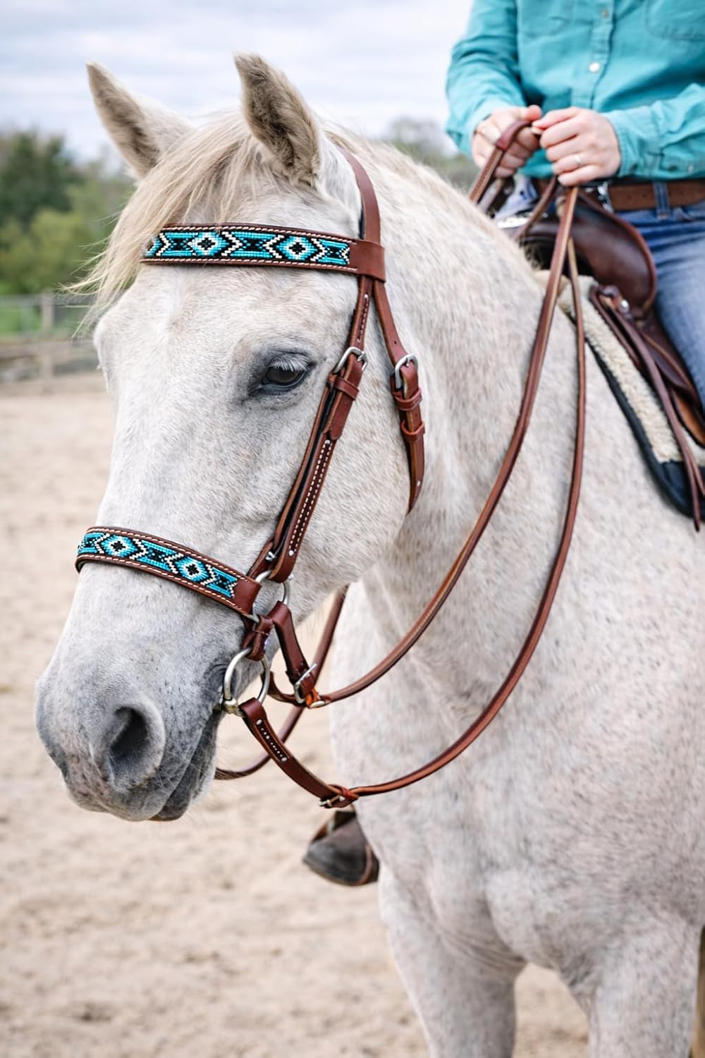 CHALLENGER English Western Horse Leather BITLESS Bridle SIDEPULL Halter REINS 77RS11MG-F