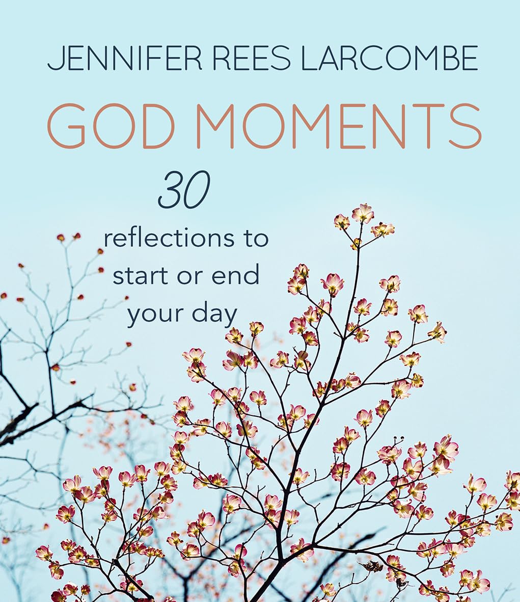 God Moments – 30 reflections to start or end your day Larcombe Hardback
