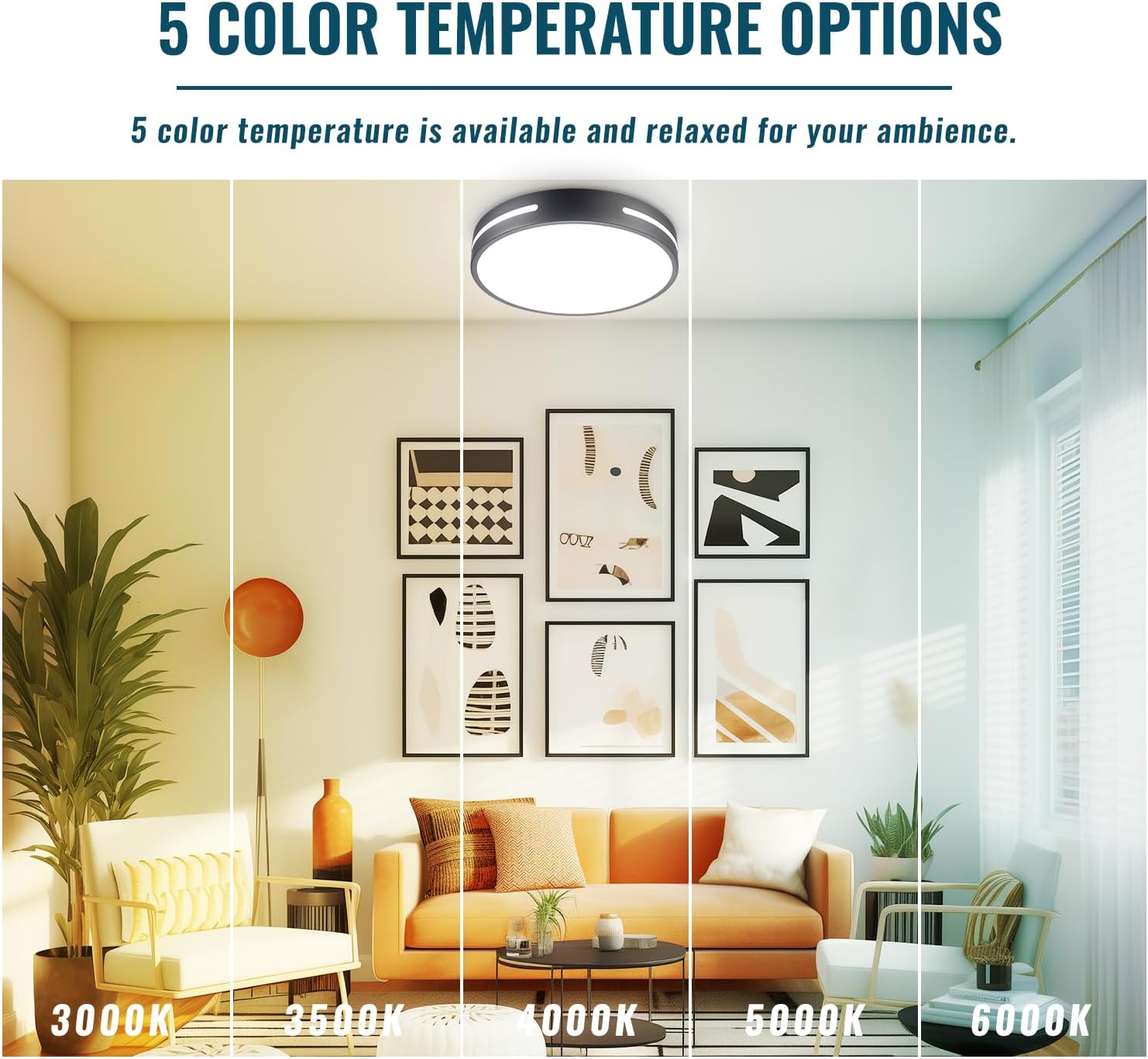 LED Ceiling Light Flush Mount 24W, Black Kitchen Light Fixture Ceiling Mount Dimmable, 12 inch Close to Ceiling Light Fixture 5CCT for Bedroom, Bathroom, Living Room