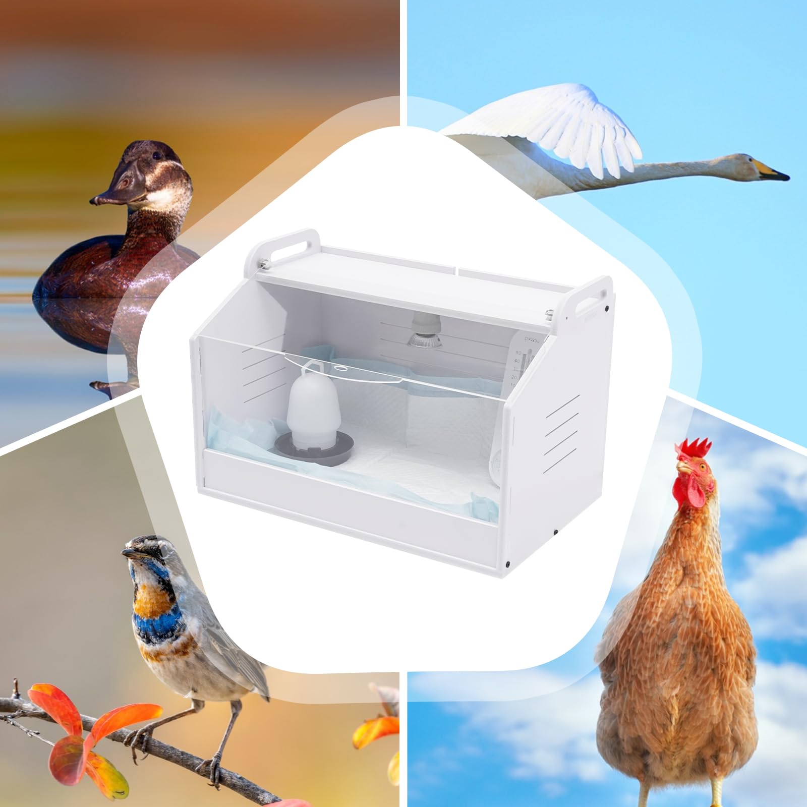 Incubatore di polli incubatori | incubatori | incubatori | 20 uova con termometro e tubo dell'acqua & pannolini, lampada da tavolo solare, cova di polli, anatre, quaglia, uova d'oca