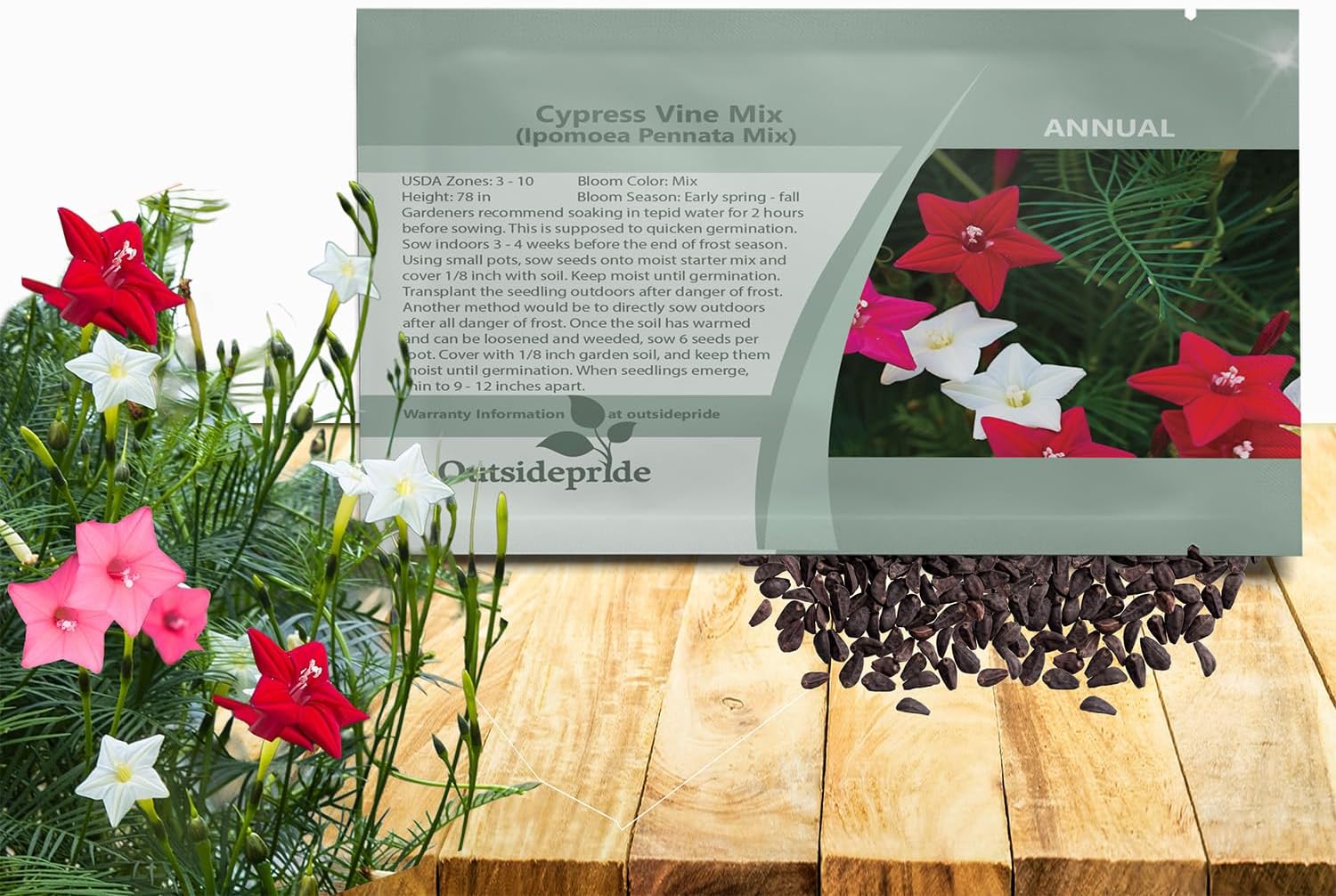 Outsidepride Mixed Cypress Vine Seeds - 100 Pcs Annual Flower Seeds with Nectar-Rich, Star-Shaped Flowers & Feathery, Fern-Like Leaves for Fences, Trellises, Pergolas & Vertical Gardens