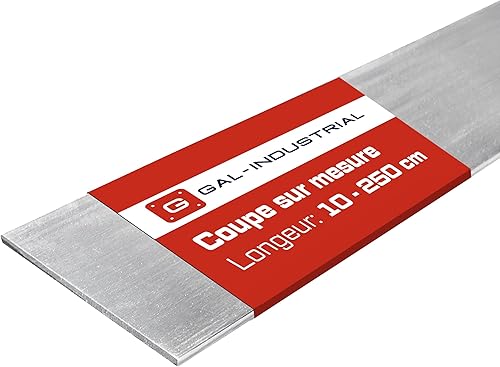 GAL - INDUSTRIAL Barre Plate en Aluminium Brut 10x3 mm | Longueur 50 cm | Résist