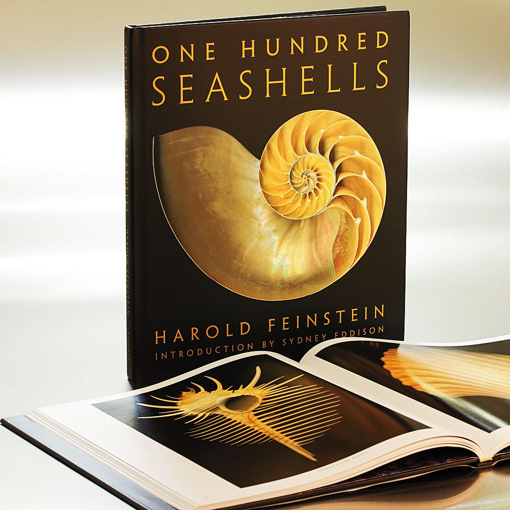 Amazon.co.jp: Harold Feinstein: 本、バイオグラフィー、最新アップデート
