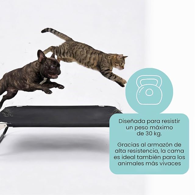 Foto 7 de 8 de Italian Bed Linen None Cama para Perros “Sogni e Capricci” Plegable elevada, 105x65xh18 cm