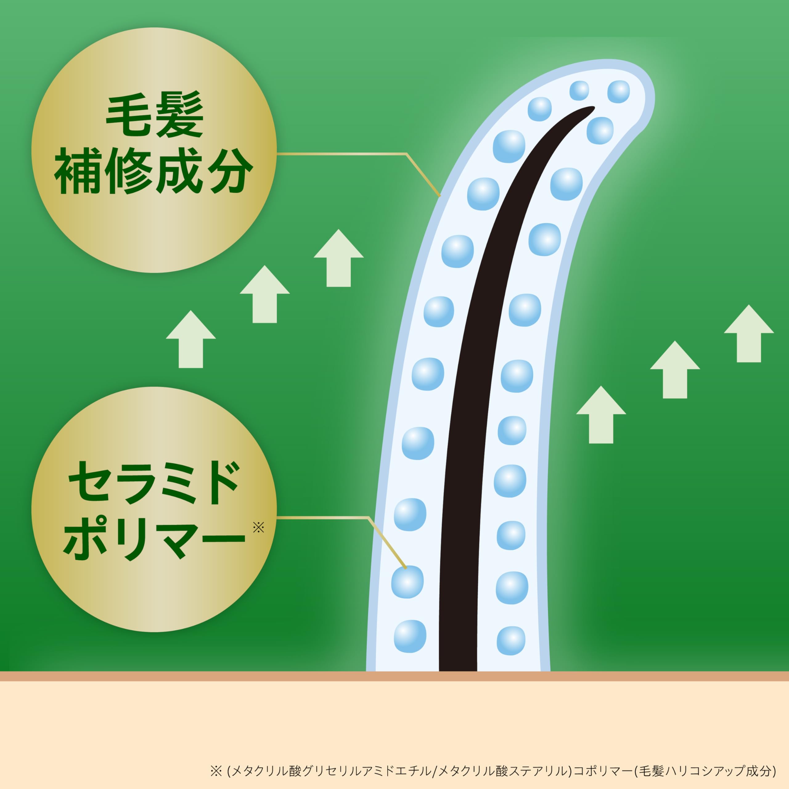 Amazon | アロウェルシャンプー つめかえ用 小林製薬 300ml 【男女兼用